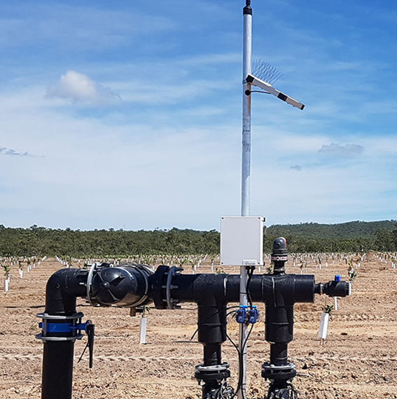 irrigation home farm plantings irrigate farm automation